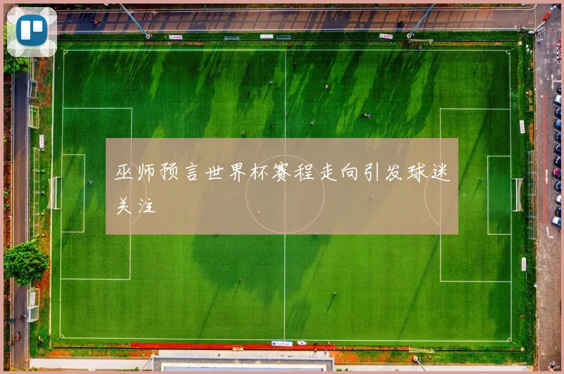 巫师预言世界杯赛程走向引发球迷关注