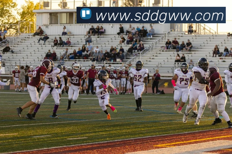 App Interface Preview