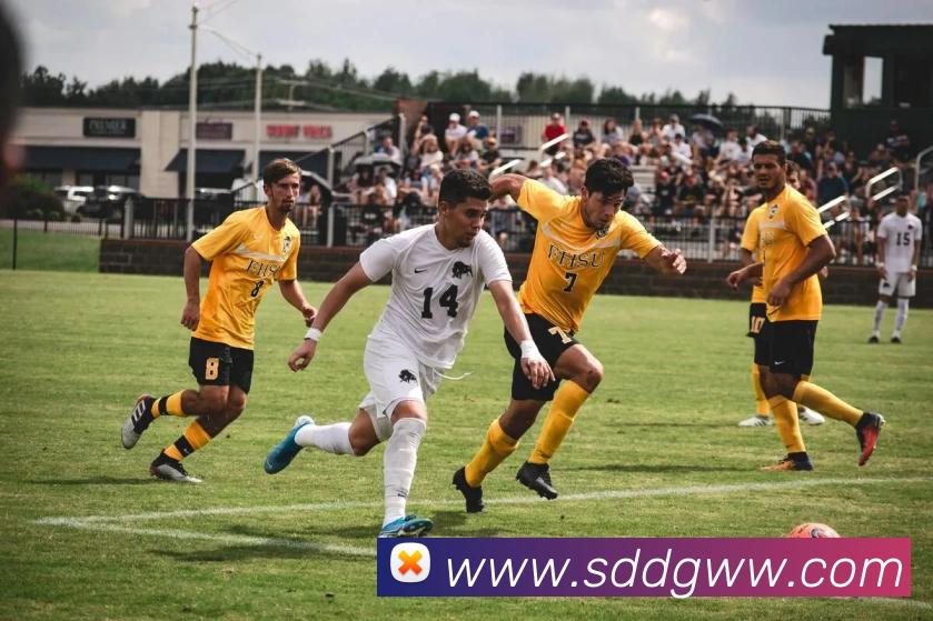 数据防护可视化